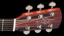 Steel-string acoustic guitar: Alvarez MD-80 headstock