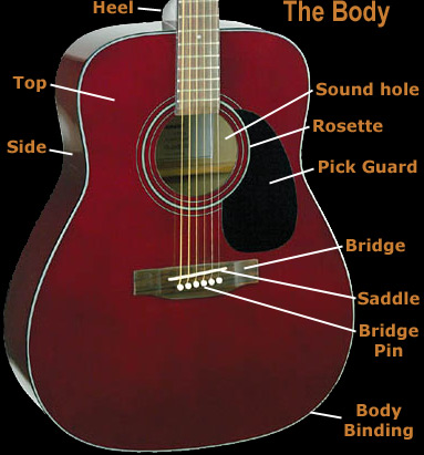 Acoustic guitar body