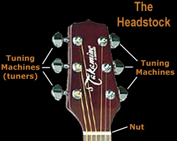 Acoustic guitar headstock