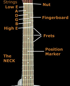 Acoustic guitar neck
