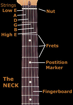 Electric Guitar Neck