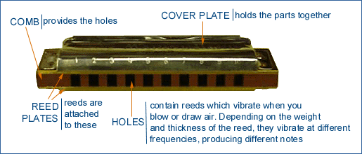 Different Harmonica Types You Can Buy